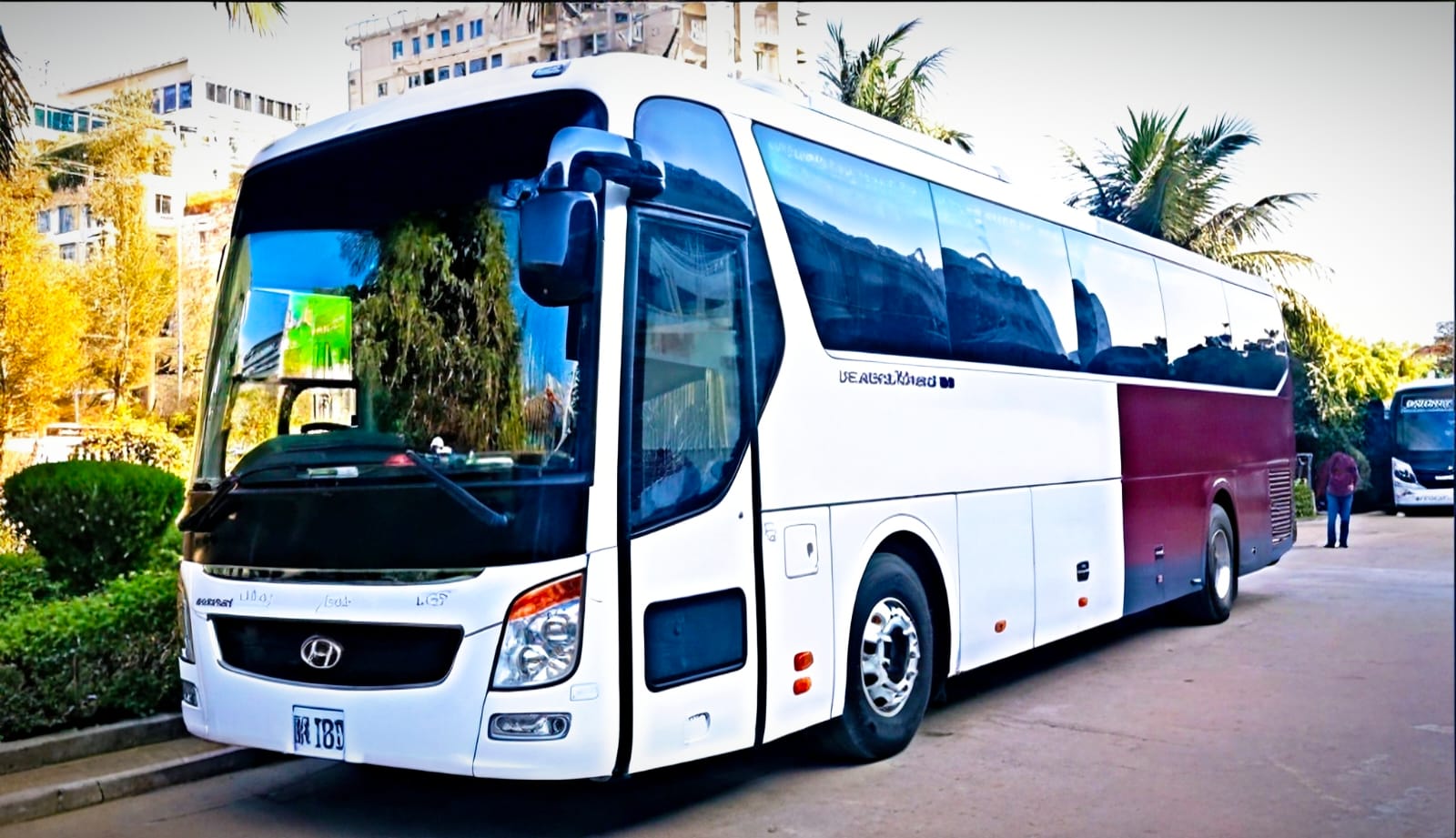 Tourist Coach